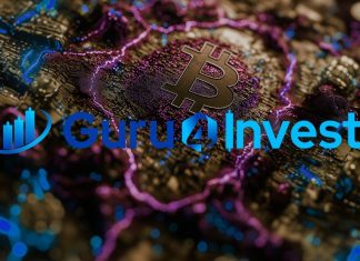 Guru4Invest has completed a major update of its security systems BITCOIN