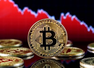 Bitcoin Price and Global Adoption: Are Retail Investors Fueling the Momentum? bitcoin price