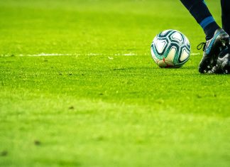 Why Sports Blogs Are Changing the Way We Follow the Game sports blog