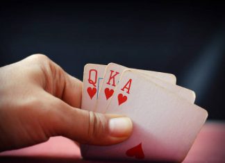 Why Tiger365 is Becoming Every Bettor’s Go-To Spot tiger365