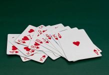 The Curious Buzz Around Reddy Anna Club: Why Everyone’s Talking About It Reddy Anna Club