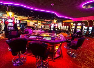 Diving Into the Thrills of Daman Game: Why Everyone’s Talking About It My 99 Exchange