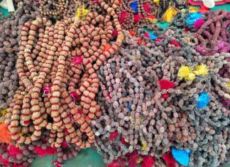 Why I Keep Ending Up Here Whenever Someone Mentions Rudraksha in Bangalore Original Rudraksha store Bannerghatta Road