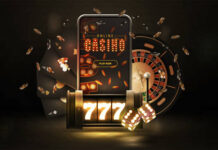 AllPanel Cricket Betting ID – Start Betting on Cricket with a Verified ID allpanelexch app