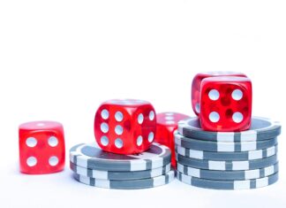 GoPlay11 Best Platform for Cricket Betting and Casino Games goplay11