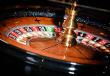 Top 5 Reasons Why Cricbet99 Is the Best Online Cricket Betting Platform in 2025 Cricbet99