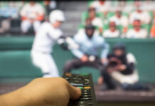 종목별 맞춤 관전 벳모아티비가 선보이는 카테고리 심층 분석 벳모아티비